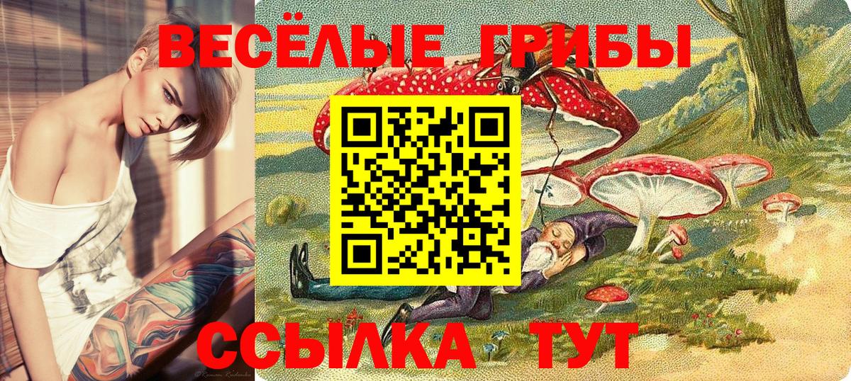 Псилоцибиновые грибы GOLDEN TEACHER Сланцы