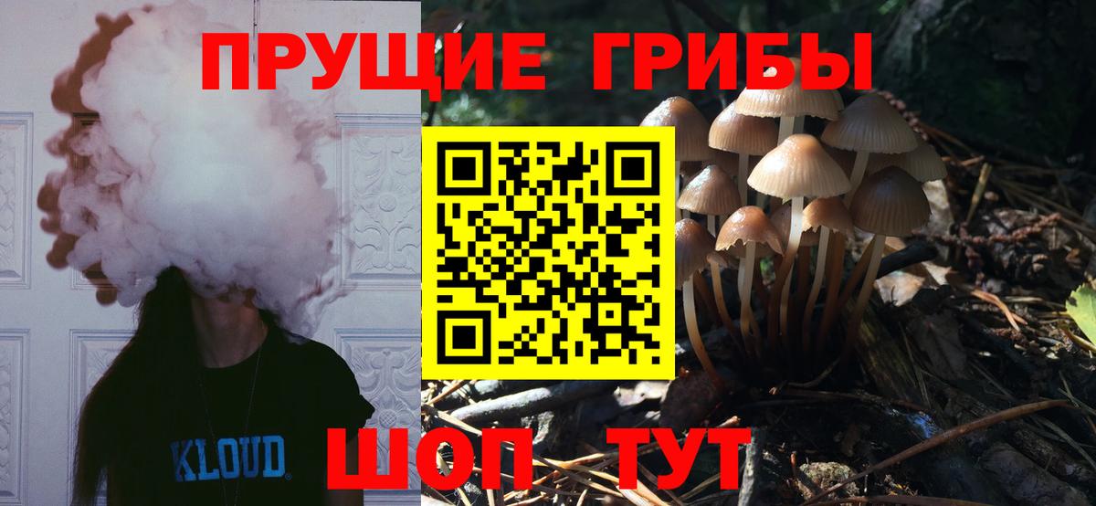 где можно купить наркотик  Галлюциногенные грибы GOLDEN TEACHER  Вход с VPN  Сланцы 