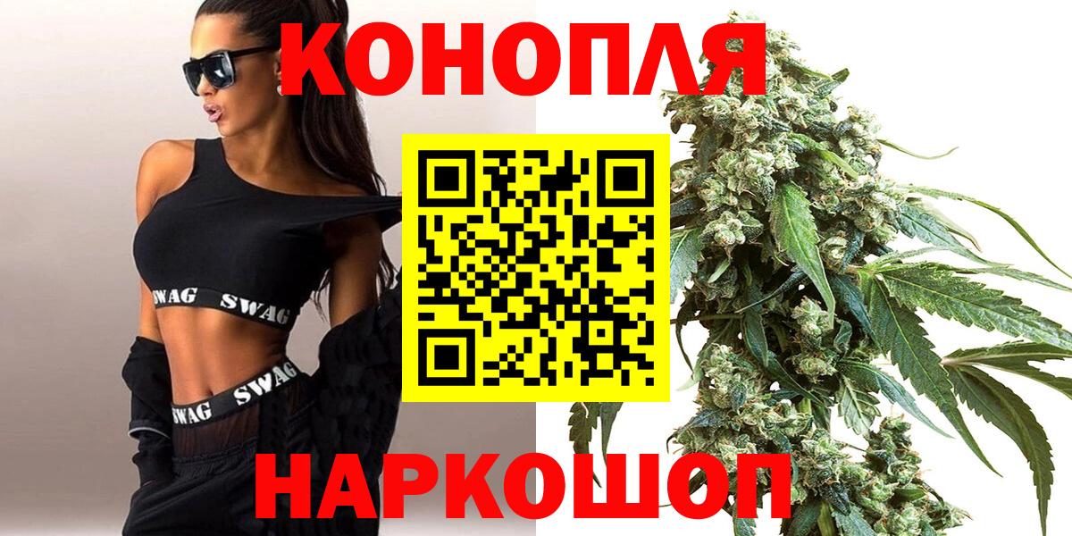 Марихуана сатива Сланцы